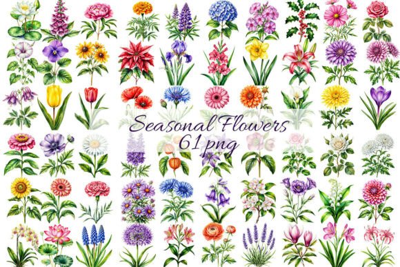 Download 61 Seasonal Flowers by Birth Month. - Flowers Collection